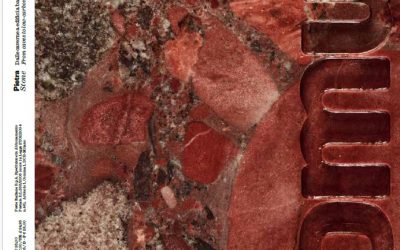 2501_Domus_page de garde