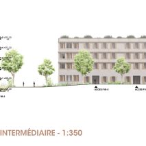 03-Coupe-elevation-Coeur-ilot-Collectif-Intermediaire