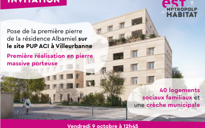 LOVIL_premier_pierre